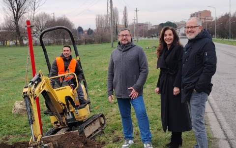 Il maltempo ha abbattuto 180 alberi: il Comune mette a dimora 240 piante