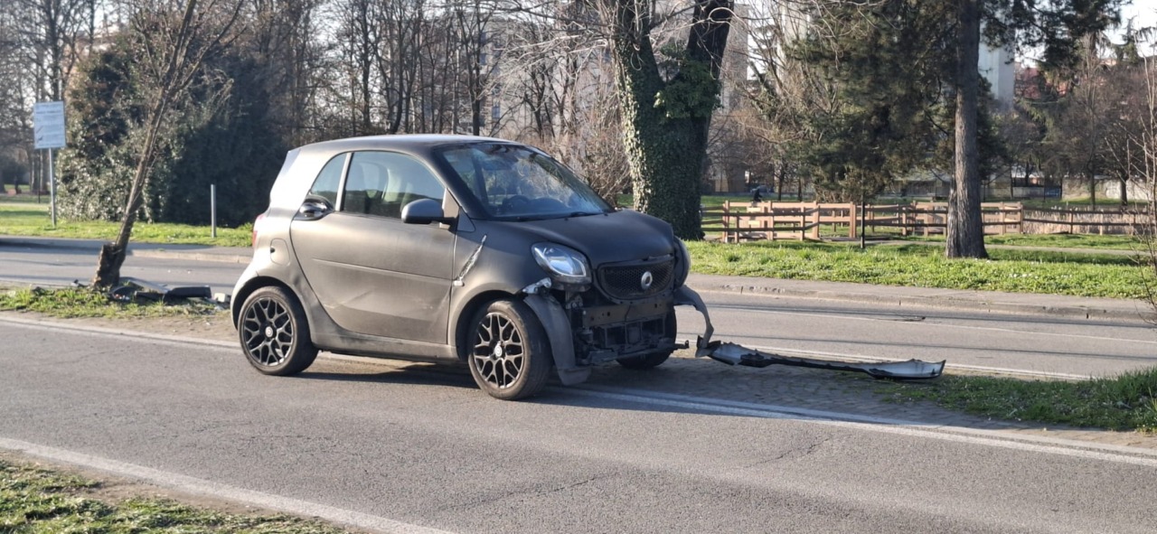 Guarda il navigatore, si distrae e si schianta contro un albero