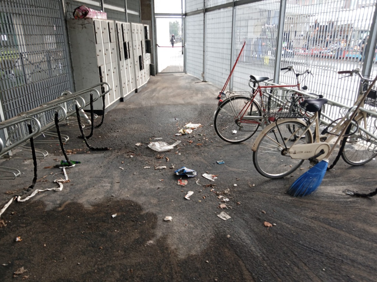 Pulizia straordinaria al Bc Park grazie alla cooperativa Il Germoglio