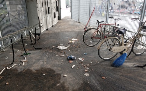 Pulizia straordinaria al Bc Park grazie alla cooperativa Il Germoglio