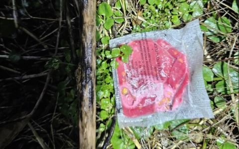 Trovate 23 bustine di veleno a terra, morto un cane: indagini in corso