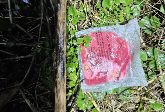 Trovate 23 bustine di veleno a terra, morto un cane: indagini in corso