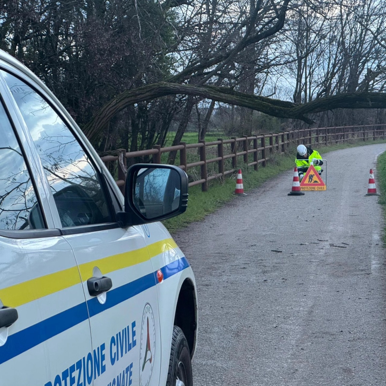 Albero caduto blocca la strada, subito pronti i volontari della Protezione civile di Vignate