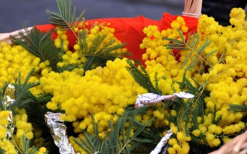 Marzo al femminile: un mese dedicato alle donne e alla libertà