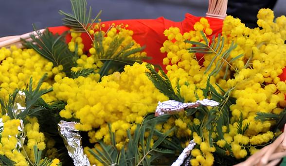 Marzo al femminile: un mese dedicato alle donne e alla libertà