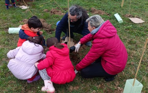 Forestami a Gessate: nuove piantagioni lungo via Monza