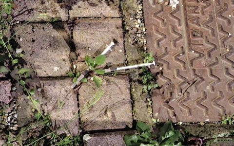 Nel “Giardino delle farfalle”, simbolo della lotta all’inciviltà, spuntano anche due siringhe