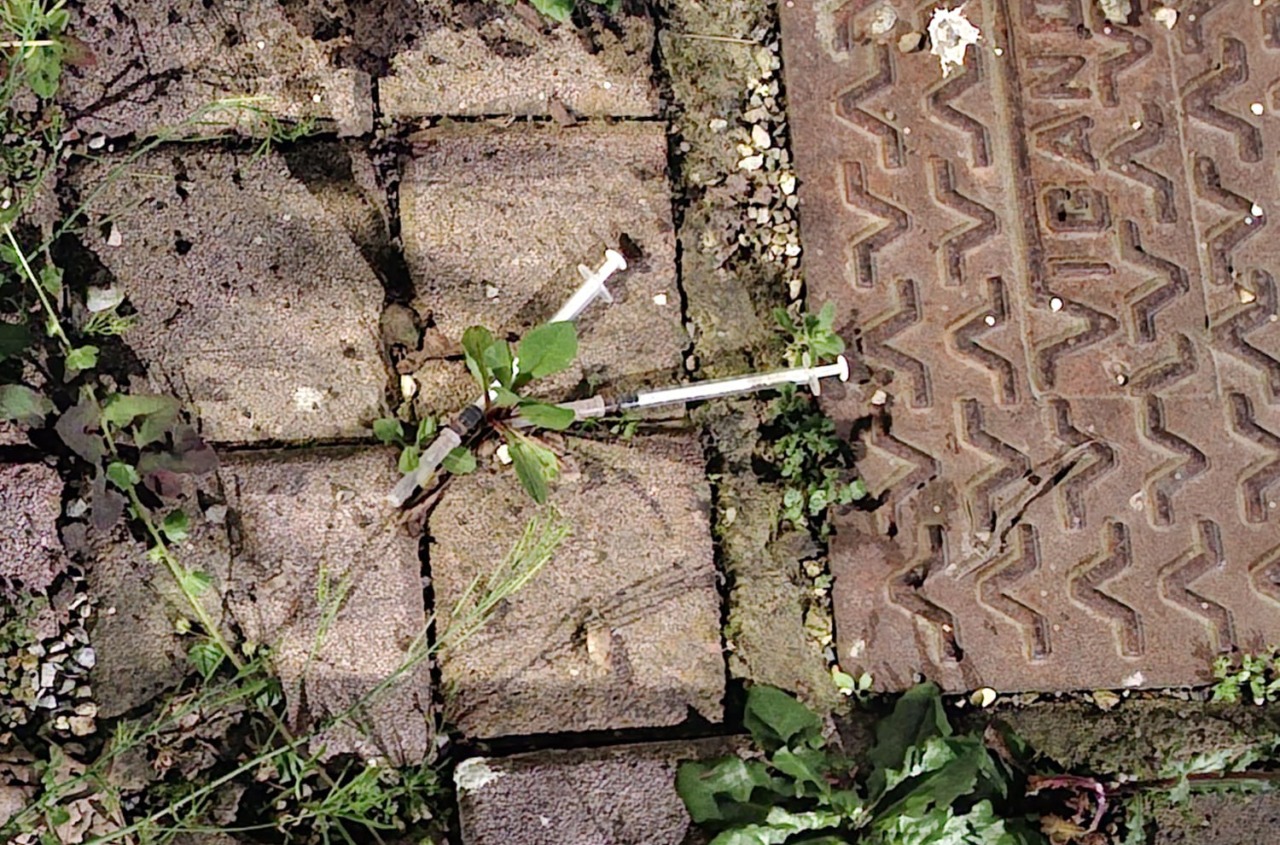 Nel “Giardino delle farfalle”, simbolo della lotta all’inciviltà, spuntano anche due siringhe