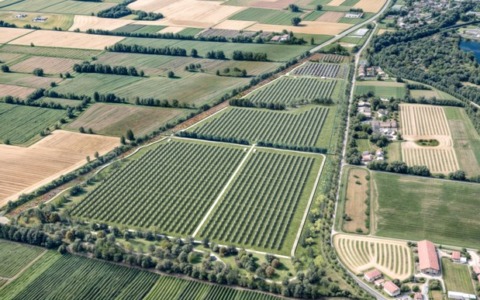 Un nuovo impianto agrivoltaico avanzato a Cassano d’Adda