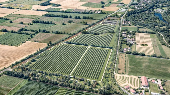 Un nuovo impianto agrivoltaico avanzato a Cassano d’Adda