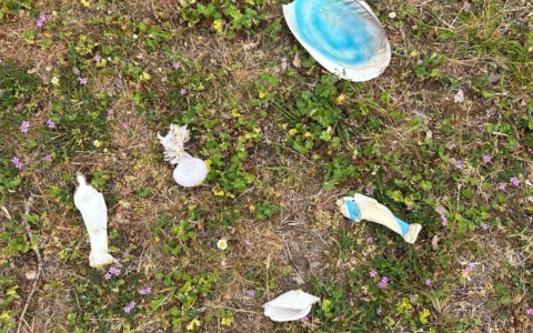 Vandali al cimitero, la condanna del sindaco: “Installeremo telecamere anche dove mai pensavamo di metterle”