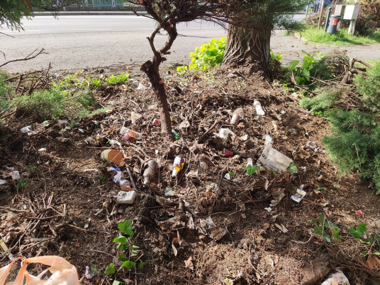 Battaglia senza fine contro inciviltà e degrado, e c’è chi non ritira nemmeno i sacchetti