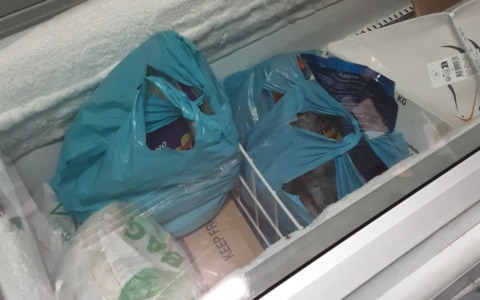 Scarsa igiene e alimenti non sicuri: chiuso un supermercato