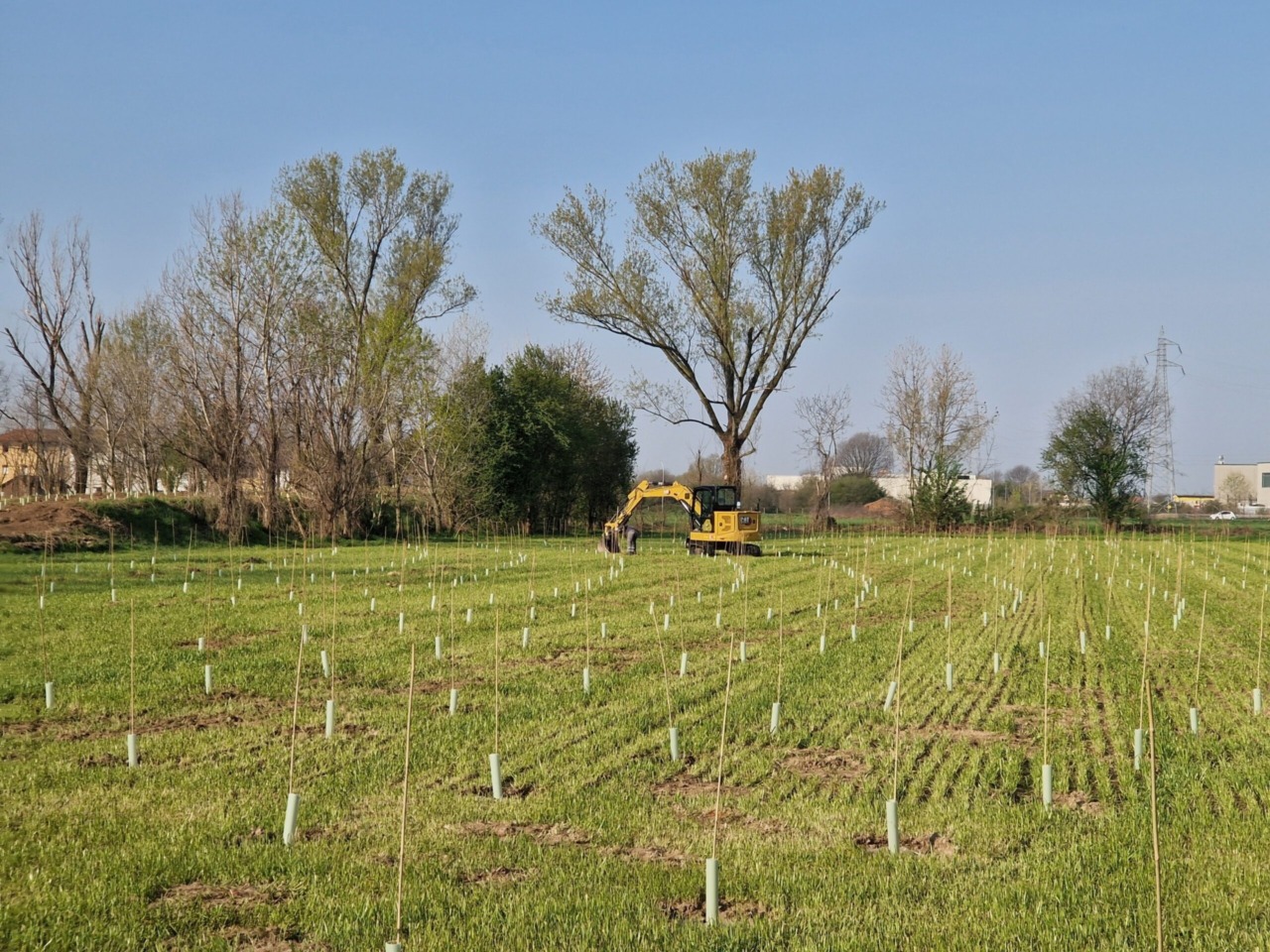 Un nuovo bosco urbano a Gorgonzola con la messa a dimora di 1.257 piante