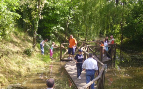 Il fontanile della Castelletto finalmente apre: visita al “locus amenus” rigenerato