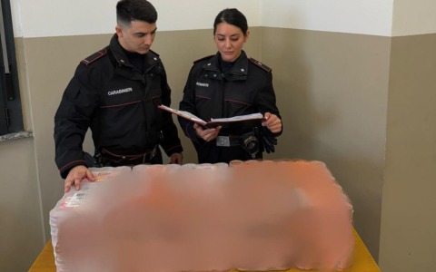 Rubano cibo e cartucce per 2.800 euro: arrestati finiscono a San Vittore