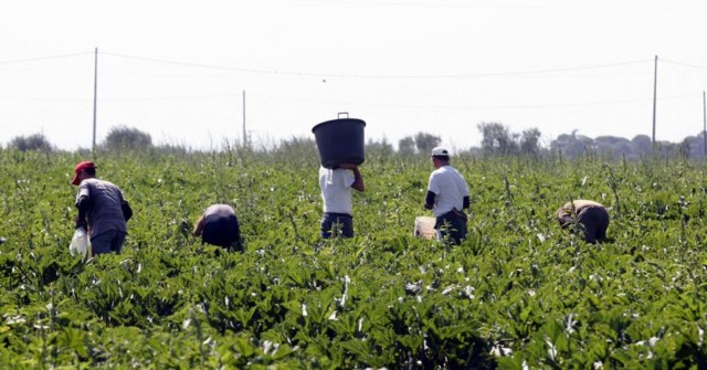 Immigrazione clandestina e caporalato: sgominata organizzazione attiva nelle campagne milanesi