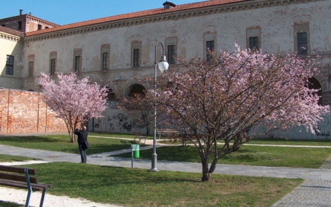 Un bene da salvaguardare: partiti i lavori di messa in sicurezza del Castello di Melegnano
