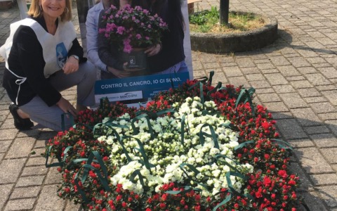 L’Azalea della Ricerca conquista Cassina: raccolti 6000 euro per l’Airc