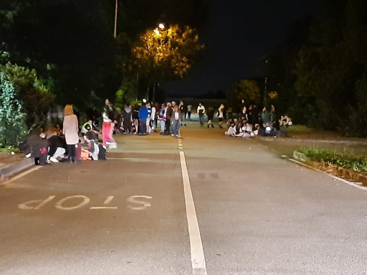 Il Parco si trasforma in una discoteca abusiva: 150 giovani al rave party