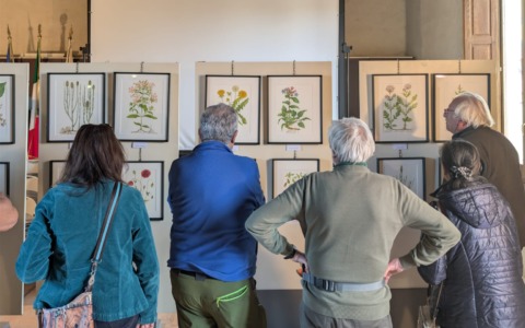 L’arte della biodiversità diventa una mostra grazie ad AmbienteAcqua Aps