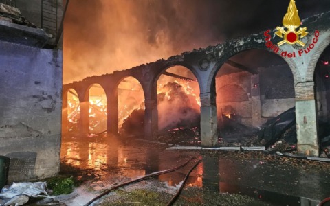Devastante incendio in cascina, i Vigili del fuoco salvano 500 bovini