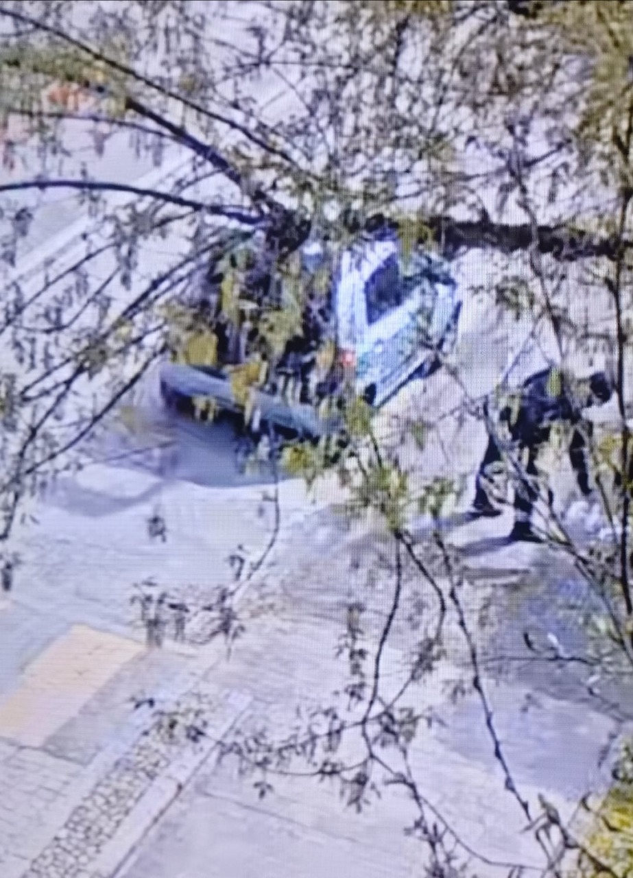 Rifiuti scaricati ai bordi della strada: scattano due denunce a Vignate