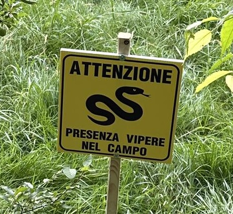 “Attenzione presenza vipere nel campo”, e scatta l’allarme