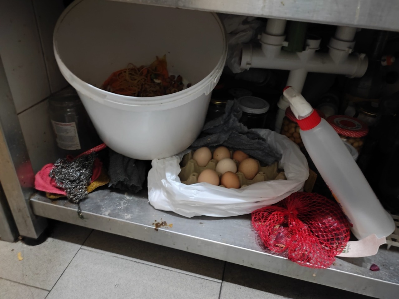 Blatte, vermi e formiche in cucina: la Polizia Locale chiude il servizio trattoria