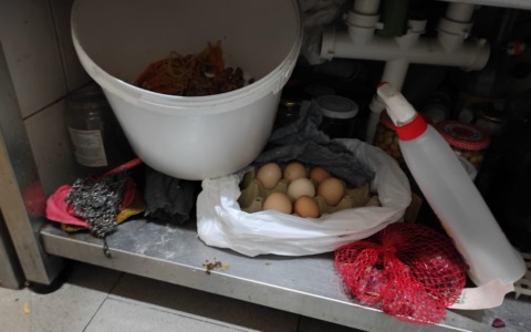 Blatte, vermi e formiche in cucina: la Polizia Locale chiude  il servizio trattoria