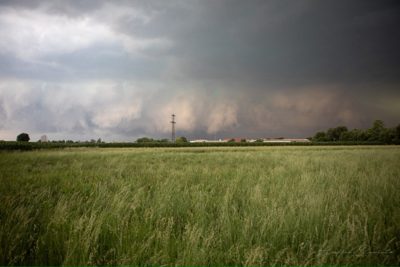 Maltempo, allerta Coldiretti: “Campagne senza tregua, danni a cereali, ortaggi e strutture agricole”