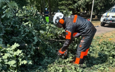 Protezione Civile, i volontari di Vignate sempre in prima linea