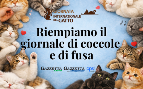 Giornata internazionale del gatto: riempiamo il giornale di foto… con i baffi