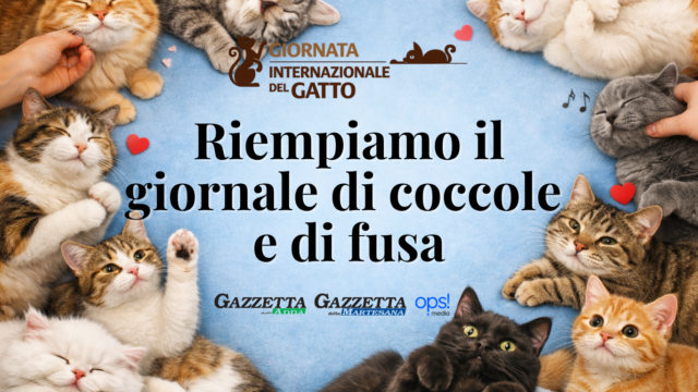 Giornata internazionale del gatto: c’è ancora una settimana per inviare la tua foto