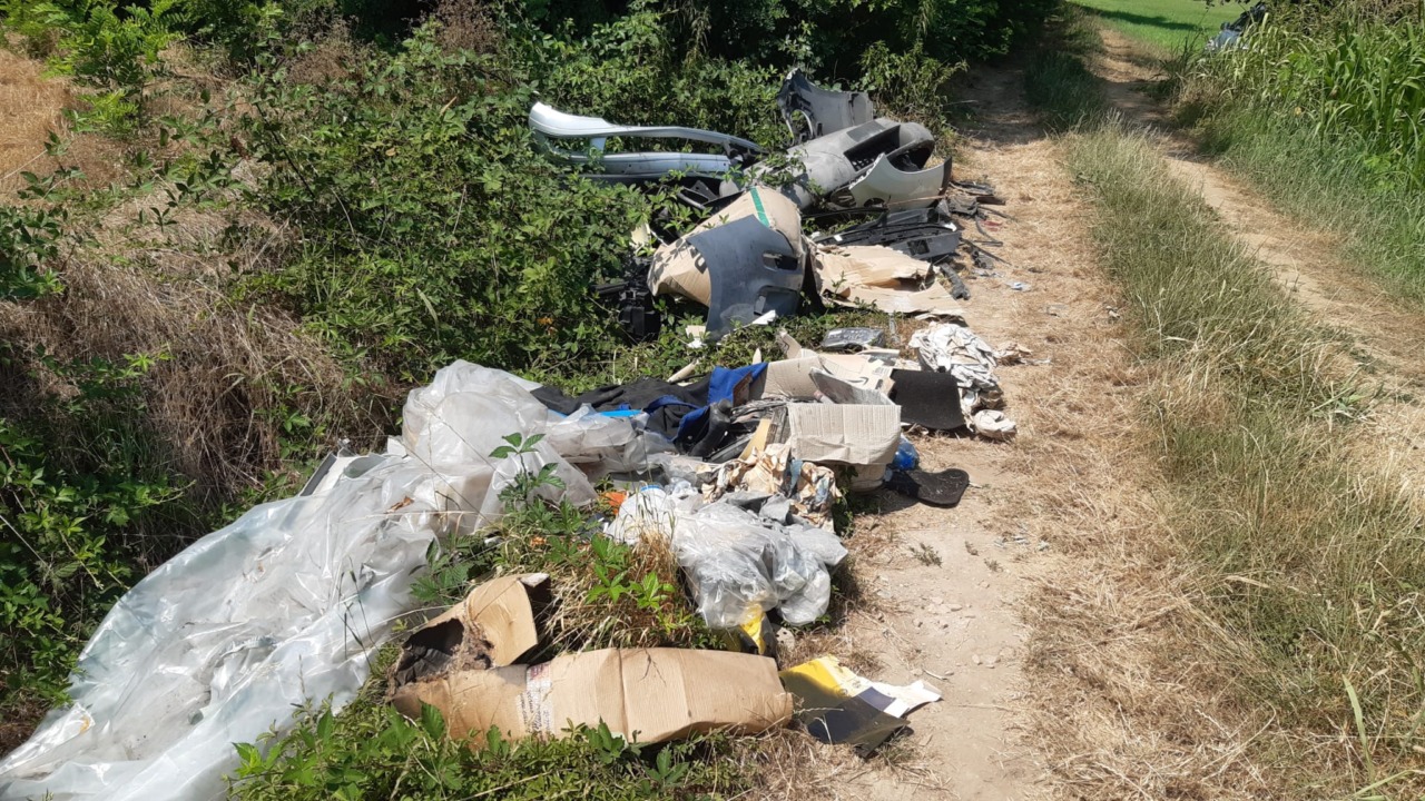 Nei campi “fioriscono” paraurti e parti di automobile