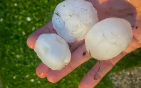 Grandine come palline da golf: Coldiretti fa la conta dei danni