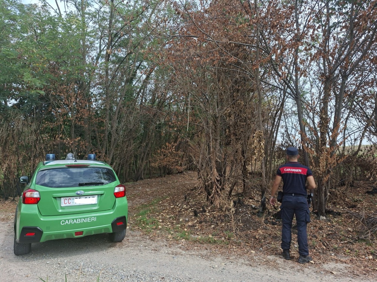 Un agosto di fiamme e incendi: il report dei carabinieri della Forestale