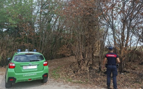 Un agosto di fiamme e incendi: il report dei carabinieri della Forestale