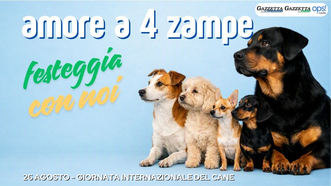Giornata nazionale del cane: meticcio la razza più amata in Lombardia