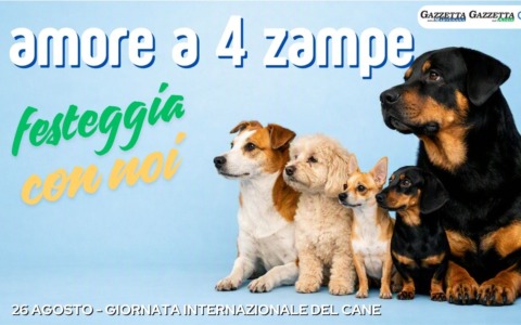 Giornata nazionale del cane: meticcio la razza più amata in Lombardia