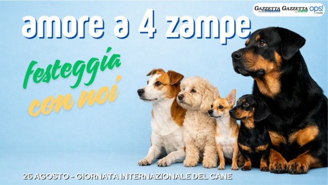 Giornata nazionale del cane: meticcio la razza più amata in Lombardia