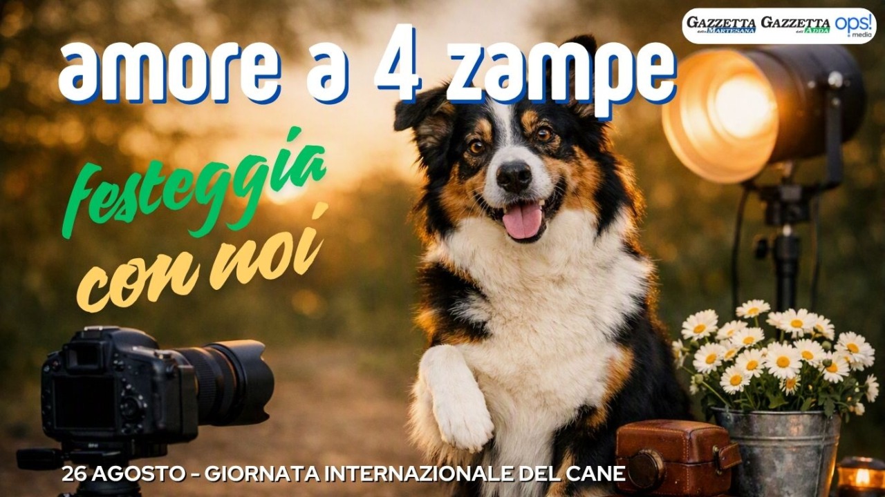 Giornata internazionale del Cane: festeggiala con uno scatto da prima pagina!