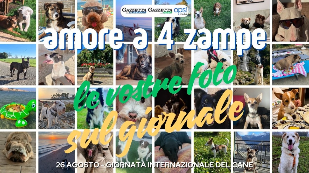 Giornata internazionale del cane: oltre 100 foto pubblicate sul giornale