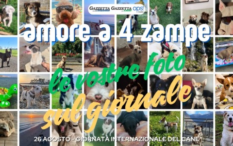 Giornata internazionale del cane: oltre 100 foto pubblicate sul giornale