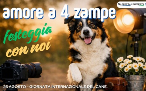 Giornata internazionale del Cane: festeggiala con uno scatto da prima pagina!