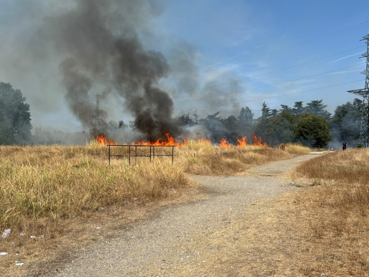 Fiamme nei campi lungo la strada, incendio causato da una grigliata abusiva