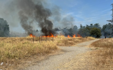 Fiamme nei campi lungo la strada, incendio causato da una grigliata abusiva