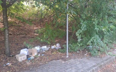 Il parcheggio della Rsa trasformato in una discarica a cielo aperto