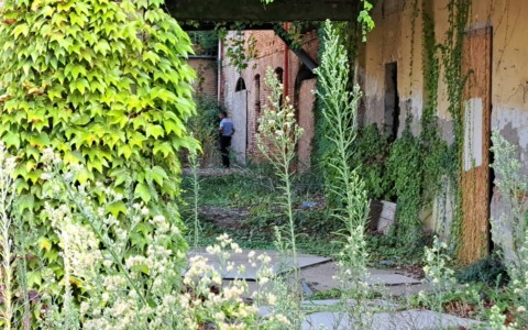 Sgombero della cascina: denunciati quattro occupanti abusivi