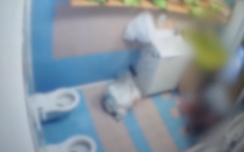 Maltrattamenti ai bambini, arrestate titolare ed educatrice di un asilo nido